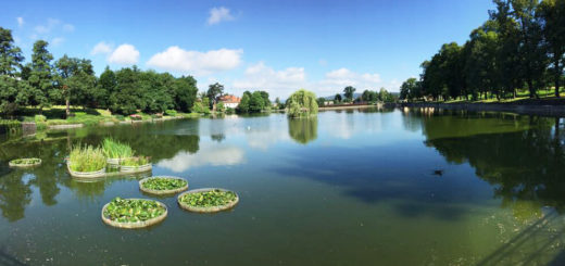 Гармония здоровья